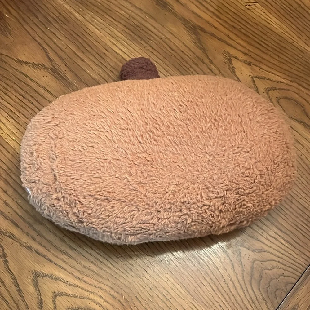 Rachel Ashwell pumpkin pillows, 3 available-1 orange and 2 brown‎